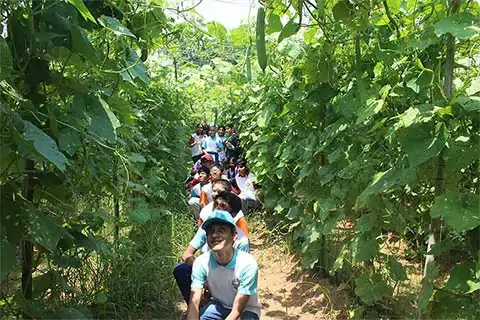 environment-day